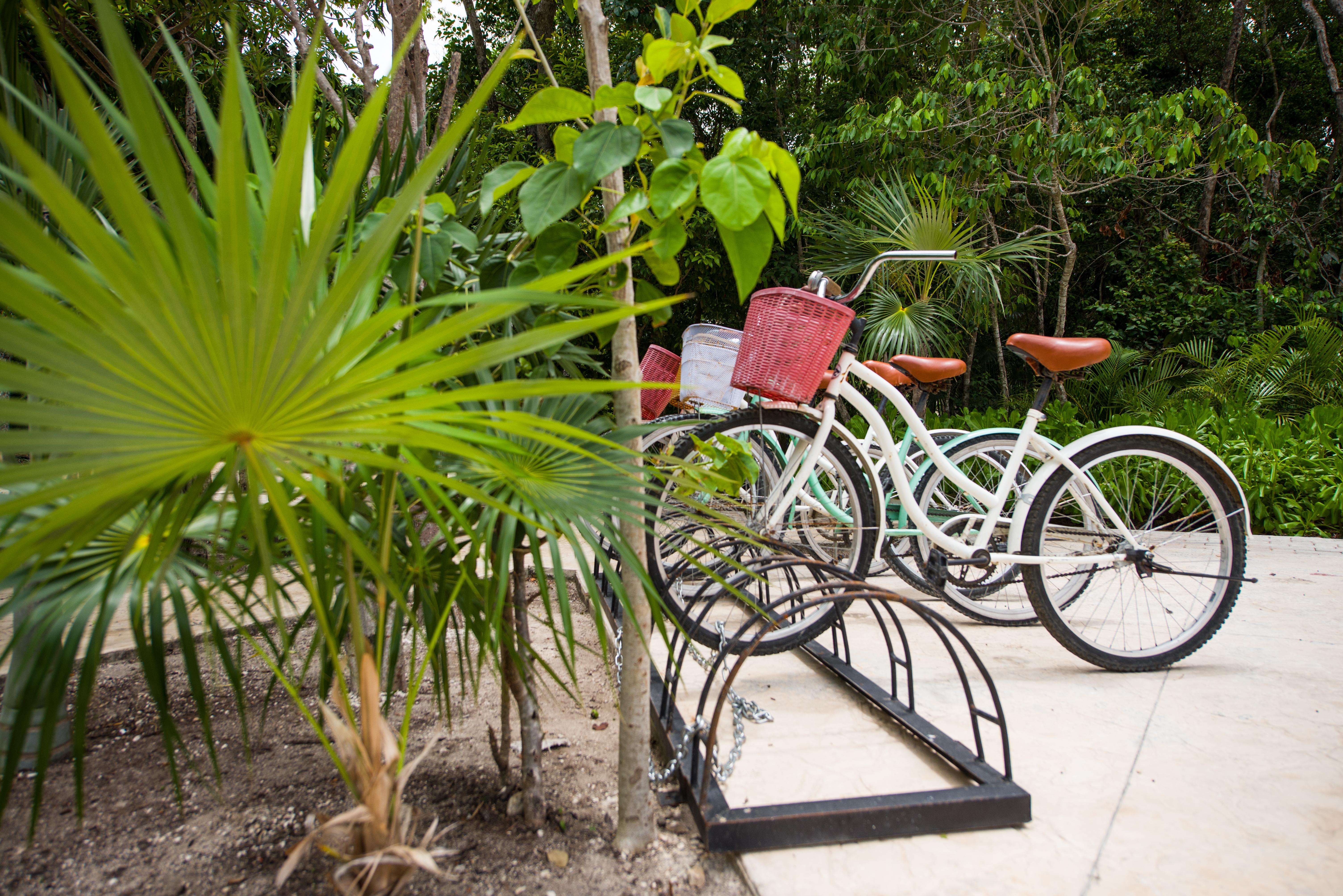 Naay Tulum Curamoria Collection Exterior photo